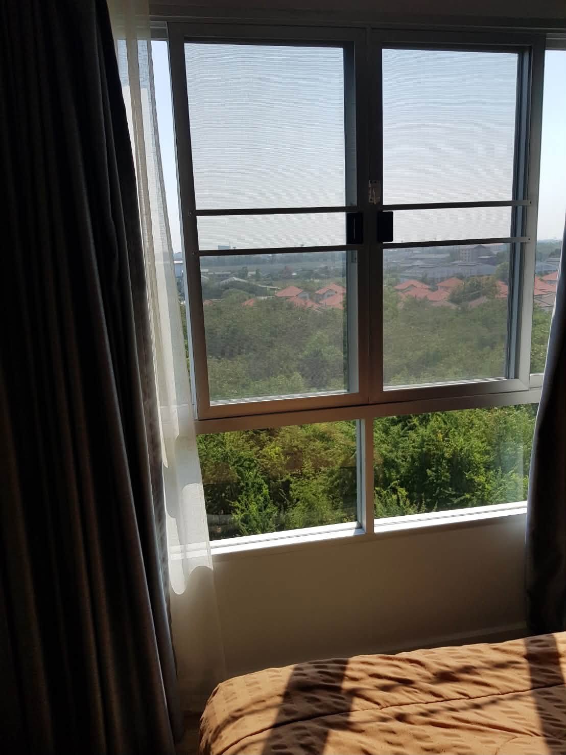 D condo campus Rangsit Phase 
